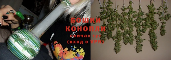 прущие грибы Нязепетровск