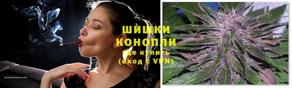 тгк Няндома