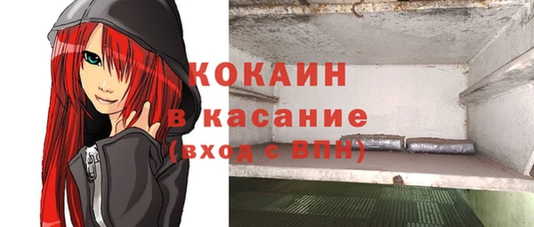 прущие грибы Нязепетровск