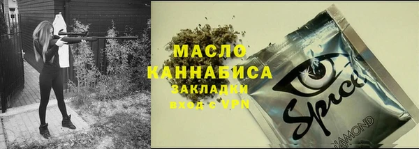тгк Няндома